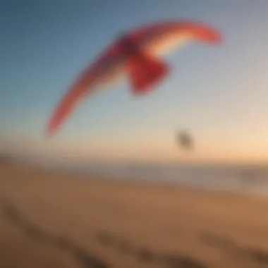 Magnificent Exploring the Rush 350 Pro Trainer Kite: An In-Depth Analysis