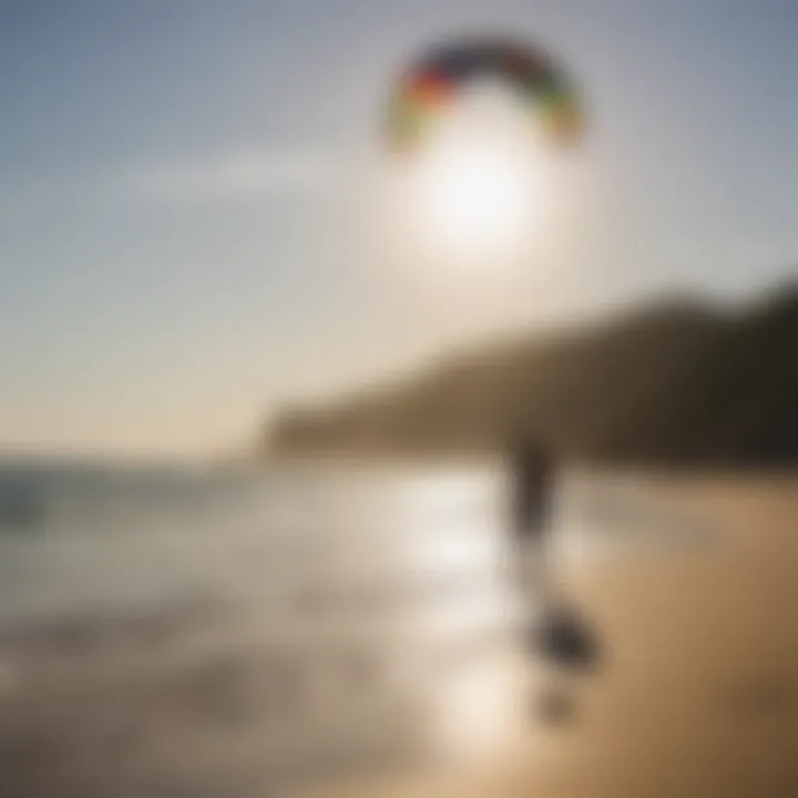 A selection of kites suitable for beginners showcased on the beach