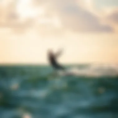 A kitesurfer demonstrating basic techniques on calm waters, illustrating beginner skills.