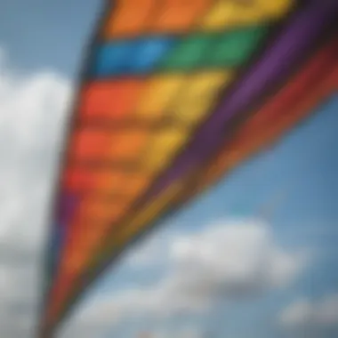 Diverse Selection of Used Kites Available A vibrant selection of kites displayed for sale