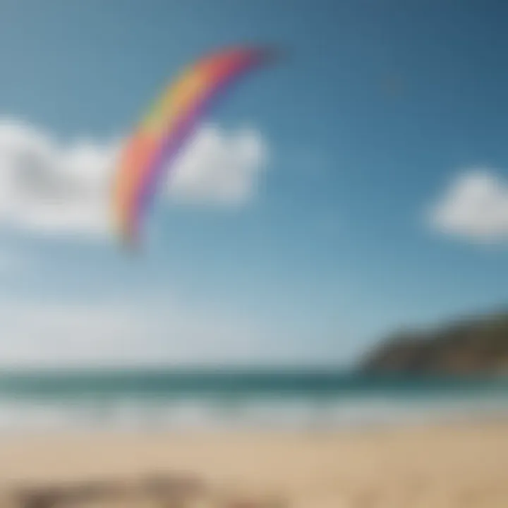 A serene beach setting with multiple Aluula kites in the background