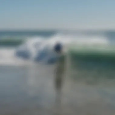 A group of surfers catching waves at Alameda Beach