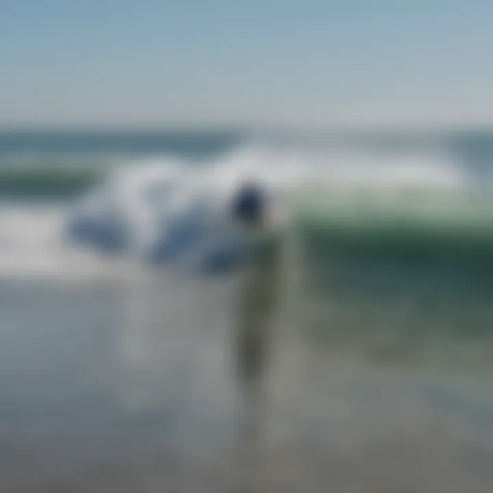 A group of surfers catching waves at Alameda Beach