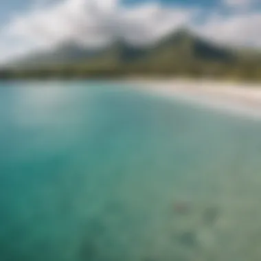 Kailua Beach: A Kiteboarder's Paradise Scenic view of Kailua beach with kiteboarders