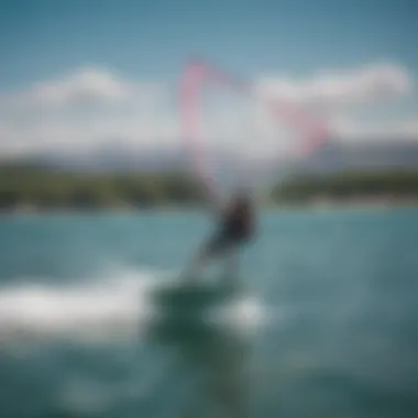 Kitewing in action on a beautiful water landscape