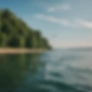 Seasonal landscape around Lake St. Clair during summer