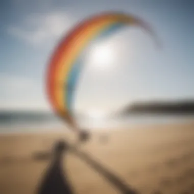 A serene beach setting with multiple trainer kites ready for use