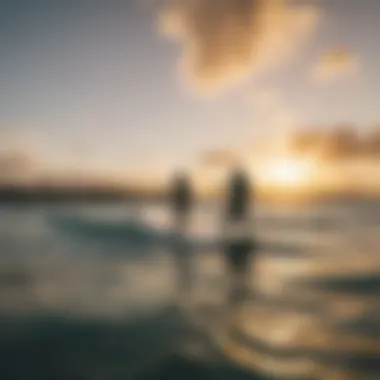 A group of kiteboarders enjoying the sunset