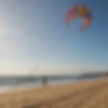 Notable Exploring the Dynamics of a 14 Meter Kite