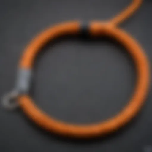 Close-up of the Halo rope leash showcasing its unique design features