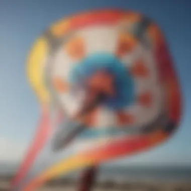 Detailed image showcasing the materials used in a high-performance sport kite