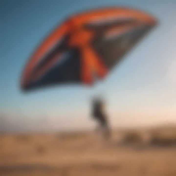 Exploring the Rush 350 Pro Trainer Kite: An In-Depth Analysis Summary