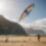 Dynamic action shot of a Switchblade Kite soaring in the sky