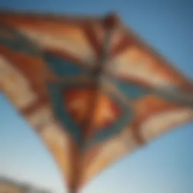 Close-up of a well-maintained kite showcasing intricate designs