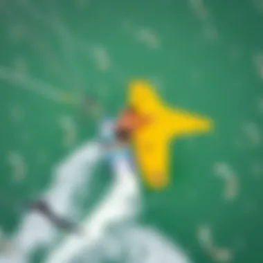 An aerial view of a kiteboarder and a wing surfer riding side by side