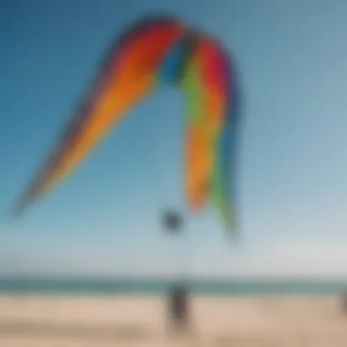 An assortment of kites in various sizes and colors displayed against a clear sky.