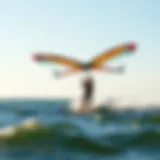 A dynamic capture of a wing foiler gliding across the water with vibrant wings.