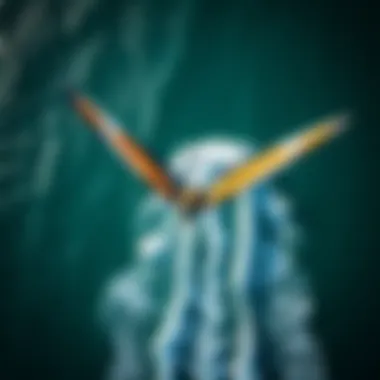 An aerial view showcasing the beauty of wing surfers on the ocean