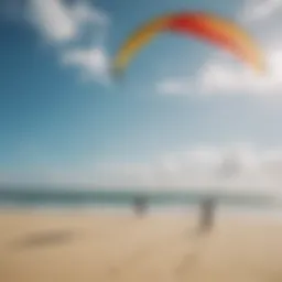 A vibrant kite soaring high above a serene beach