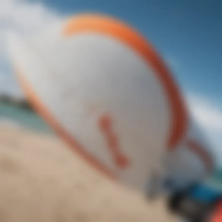 Close-up of a circle tail design on a kiteboard