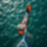 Aerial view of a windsurf wing on water