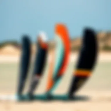 Varieties of Hydrofoils Different types of hydrofoils displayed side by side