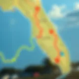 Dynamic wind speed map of Florida highlighting popular kiteboarding spots